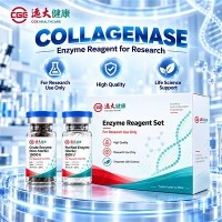 CGE Collagenase C-DEN-02 לניתוק רקמות צפוף